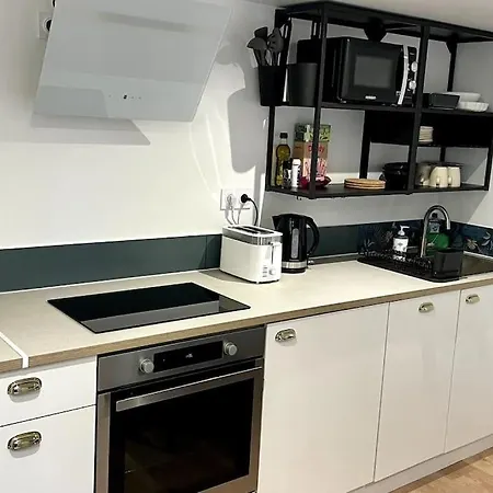 Maison Et Attenant Pour 10 Personnes Avec Terrasse, Cour Et Parking * Pau